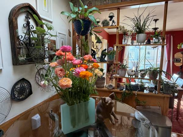 Listing photo 1 of 5