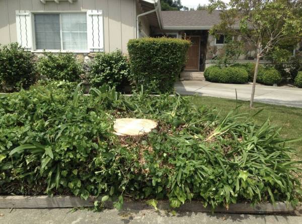 Listing photo 1 of 4