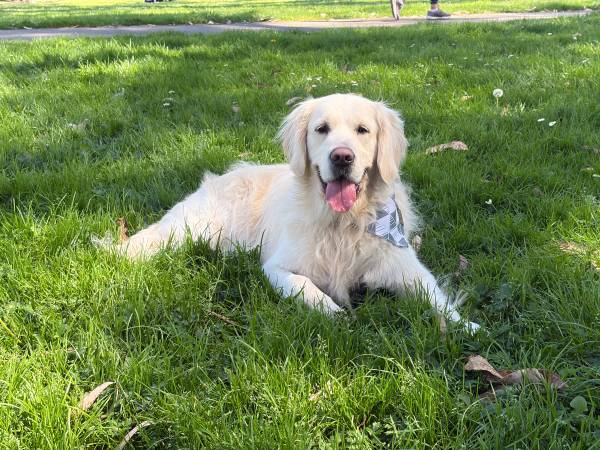 Listing photo 1 of 5