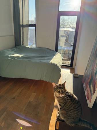 Listing photo 1 of 2