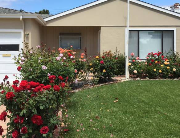 Listing photo 1 of 5