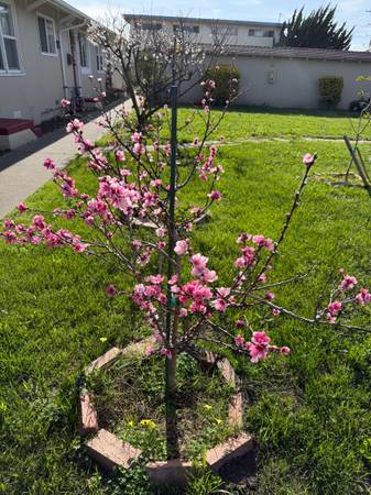 Listing photo 1 of 5