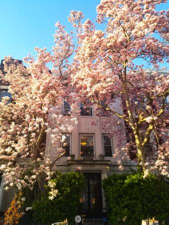 Listing photo 1 of 5