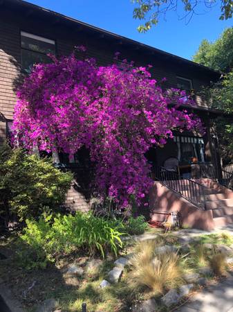 Listing photo 1 of 5