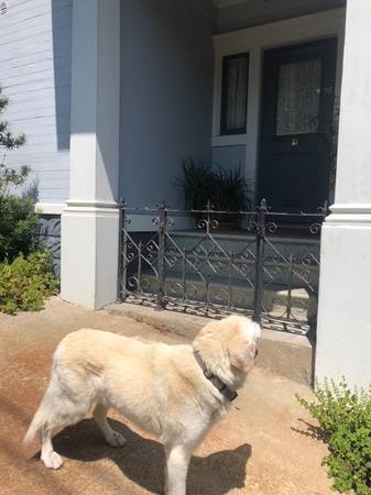 Listing photo 1 of 5